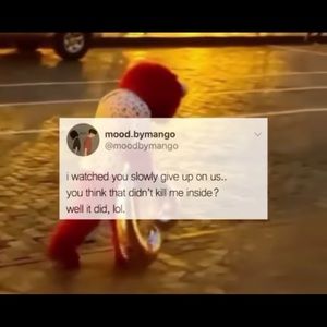 Meet your Posher, Lilly